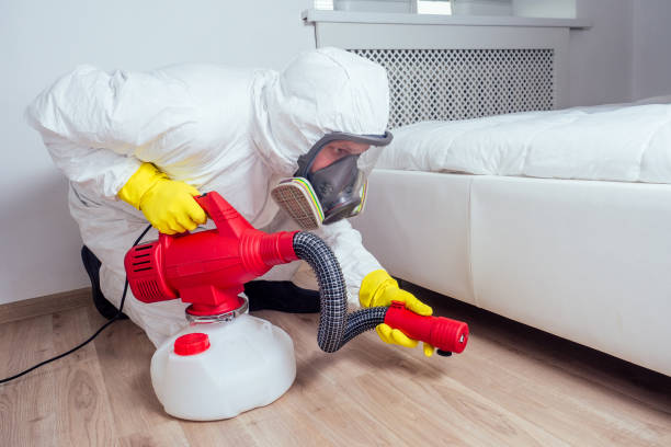 Best Pest Control Near Me  in Juarez, TX