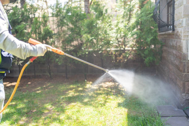 Best Wasp Removal Services  in Juarez, TX
