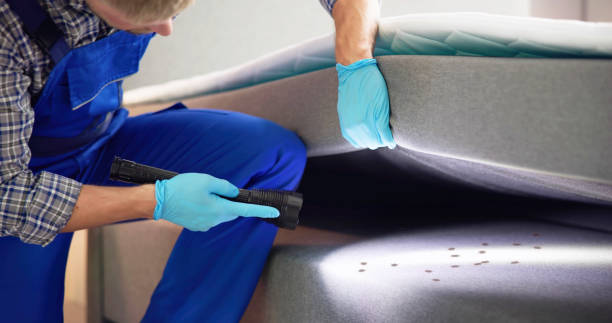 Reliable Juarez, TX Pest Control Solutions